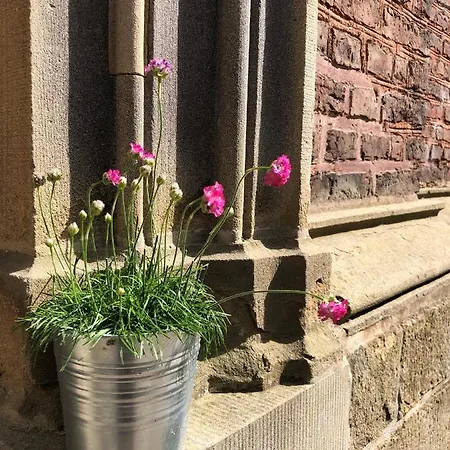 Apartmán Ministerhaus - 1-2 In Historischer *