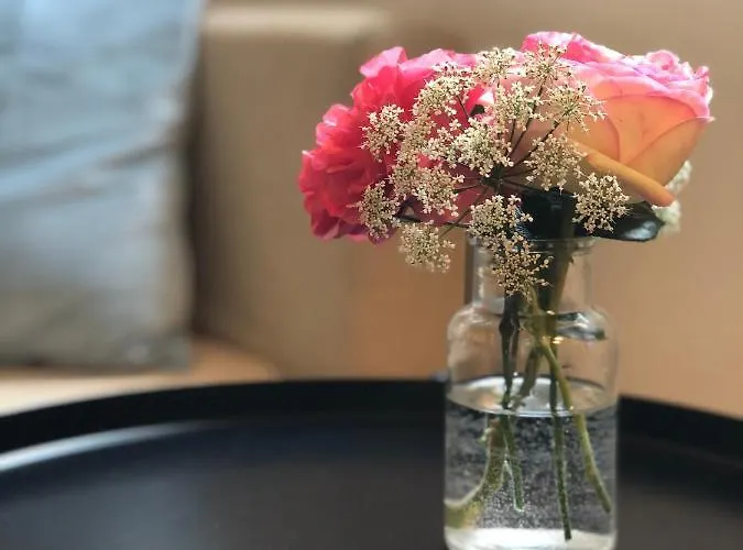 Ministerhaus - 1-2 In Historischer Apartment *