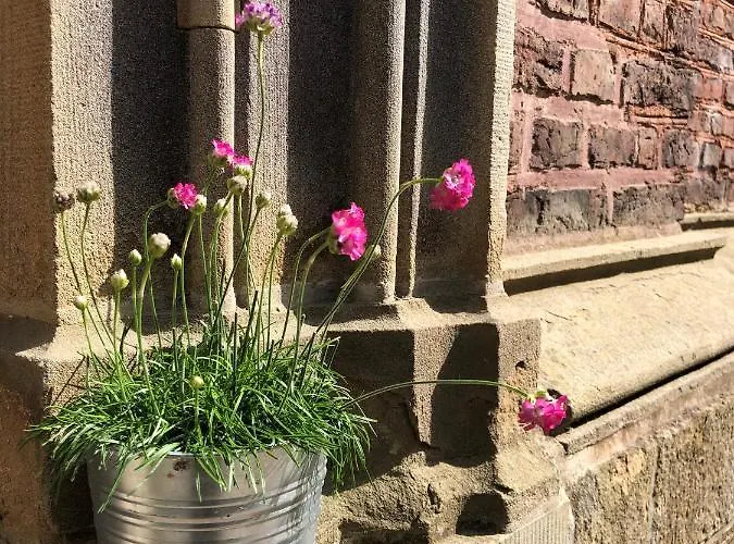 Apartment Ministerhaus - 1-2 In Historischer *